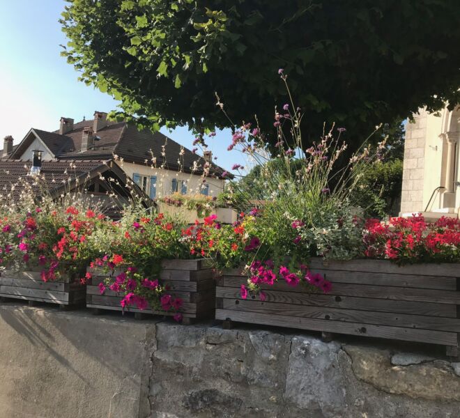 Eglise fleurs IMG_1526