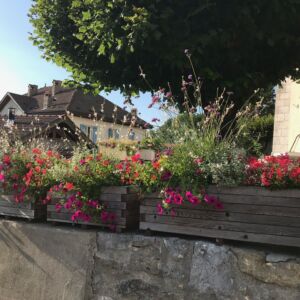 Eglise fleurs IMG_1526