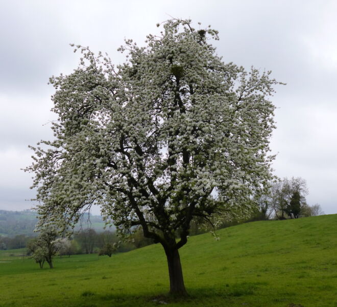 P1000026