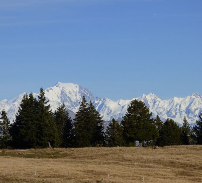 P1000795
