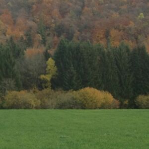 Paysage d'automne IMG_0743