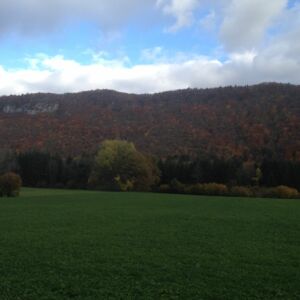 Paysage d'automne IMG_0744