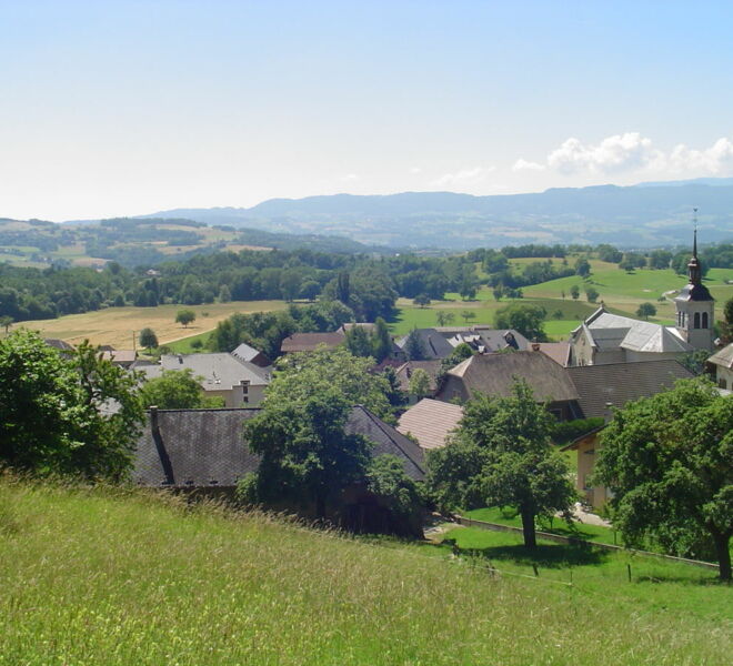 1200px-Viuz_Image_4-1